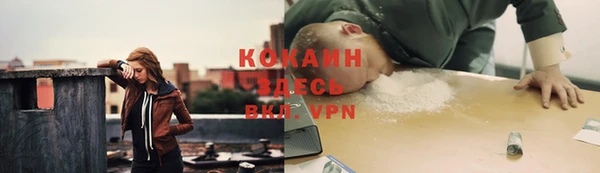 твердый Слюдянка