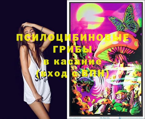MDMA Снежногорск