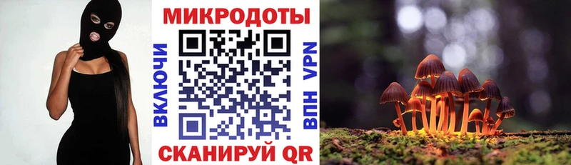 Галлюциногенные грибы Magic Shrooms  где купить   Таштагол 